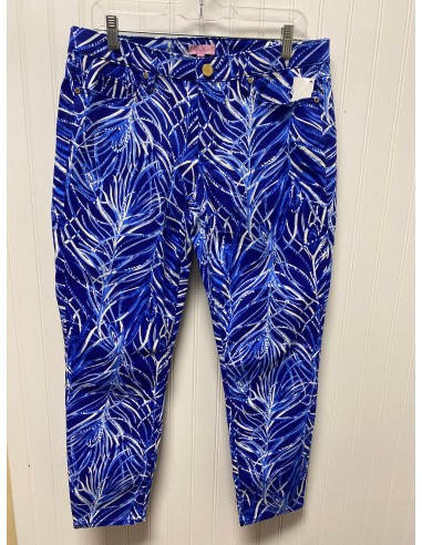 Blue & White Jeans Designer Lilly Pulitzer, Size 14 du meilleur 